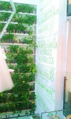 La Casa Vertical