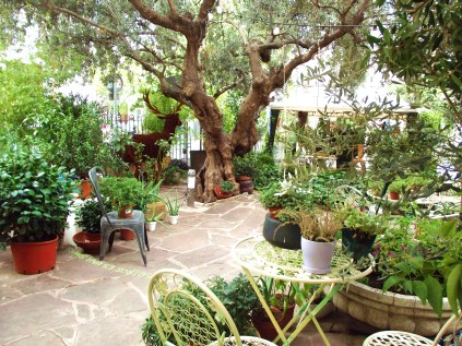 El Jardín del Ángel
